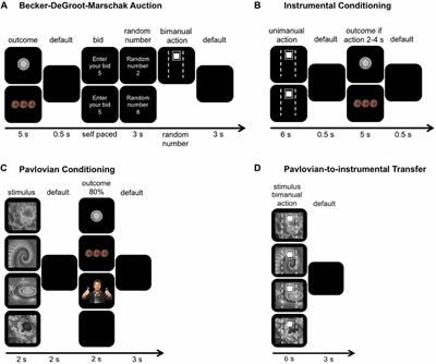 Monetary, Food, and Social Rewards Induce Similar Pavlovian-to-Instrumental Transfer Effects